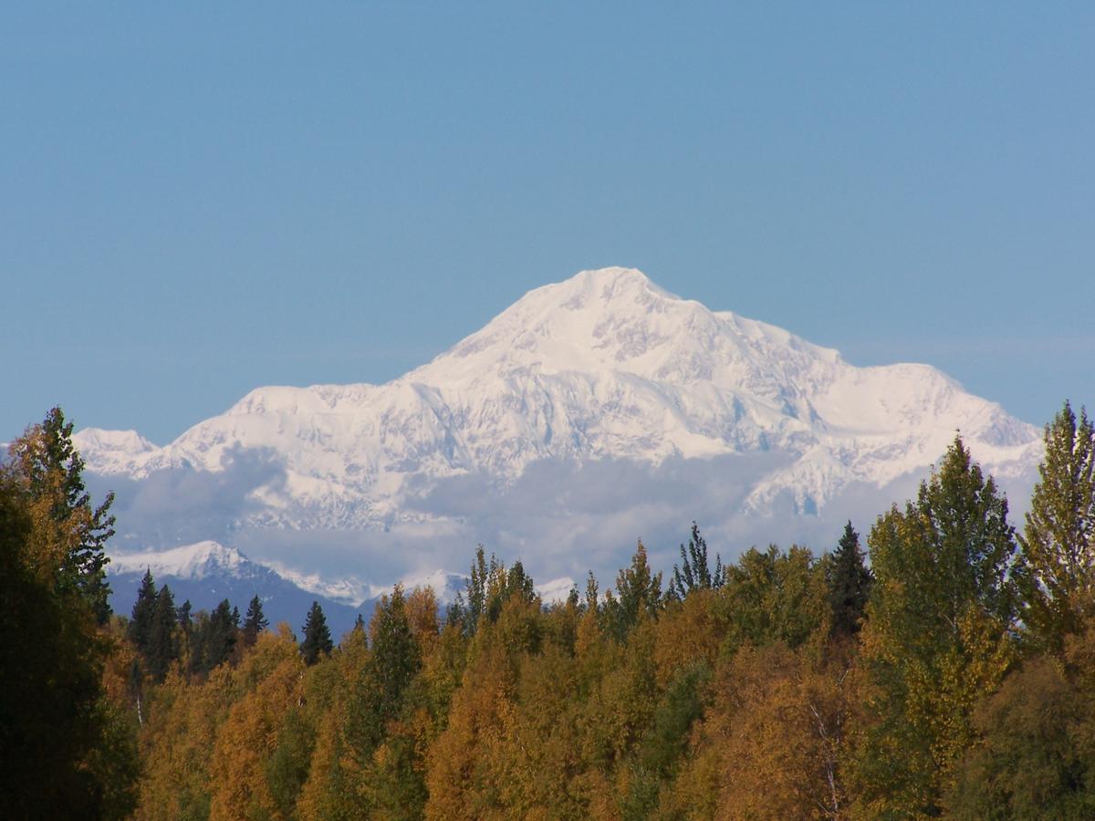 Denali Primrose B&B Healy Eksteriør billede