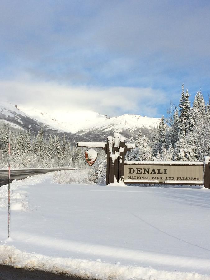 Denali Primrose B&B Healy Eksteriør billede